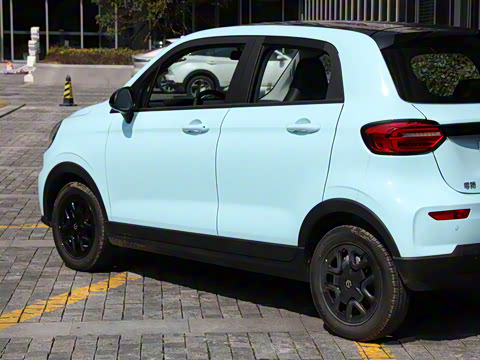 2025�� 310������