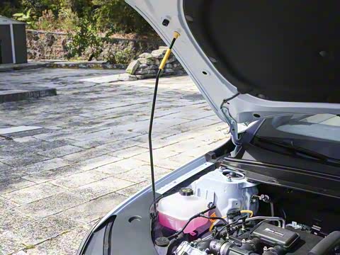 2025�� DM-i �Ǽݰ� 120KM��Խ��