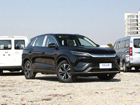 2025�� �ڶ��� DM-i 115KM��Խ��