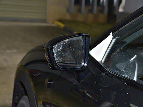 2025�� 520Max �����Ǽ�AD PRO�����