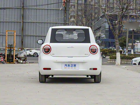 2025�� 205km �����