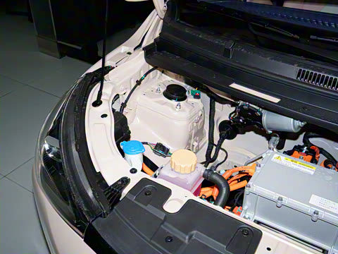 2025�� 305km ������