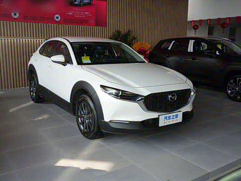 2024�� 2.0L �ֶ�������