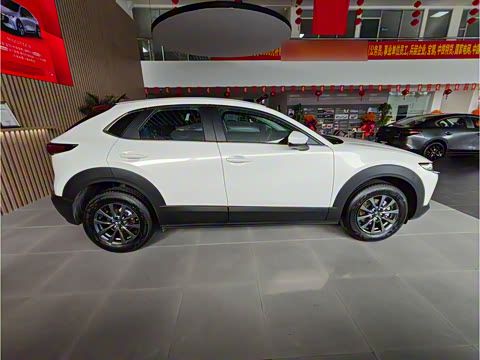 2024�� 2.0L �ֶ�������