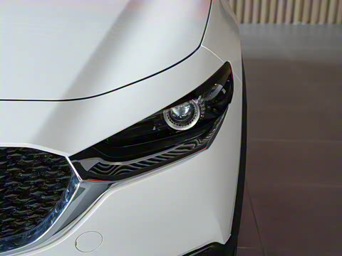 2024�� 2.0L �ֶ�������