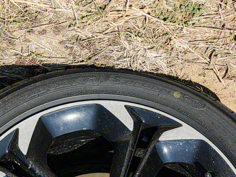 2025�� 240TURBO CVT ��ȤPro