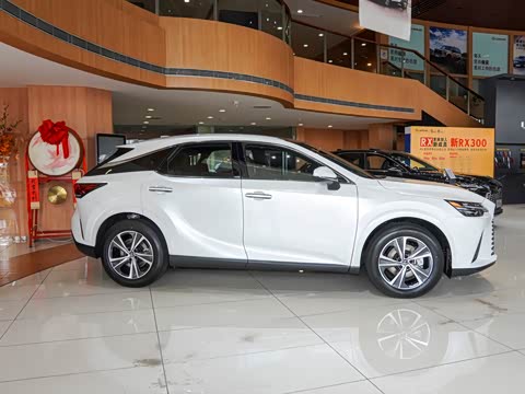 2025�� 350h ����������