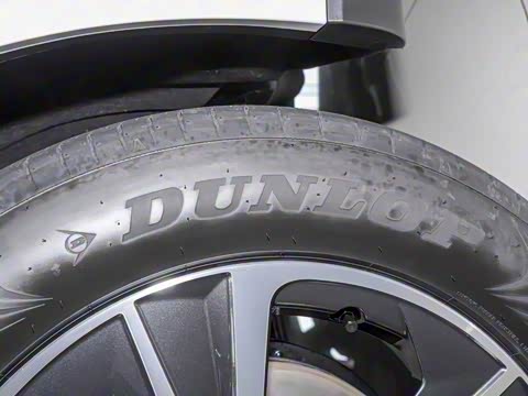 2025�� 350h ����������