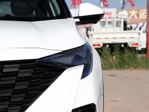 2025�� Ӱ�� 270T ������ ƽ������