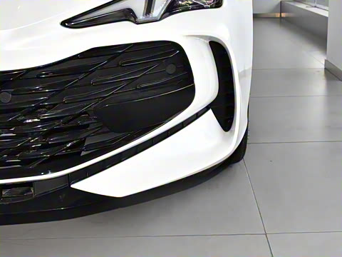 2025�� 2.0T Trophy+ �����˶���