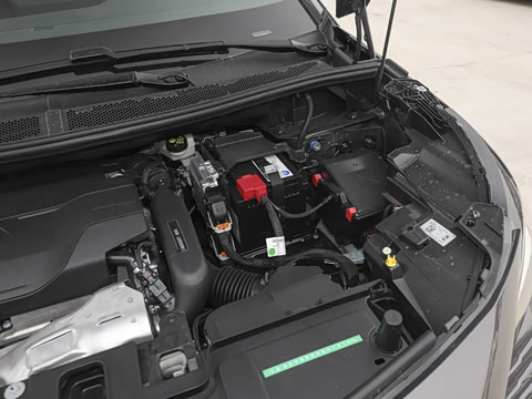 2025�� ������