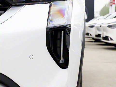 2024�� 1.5L ����������