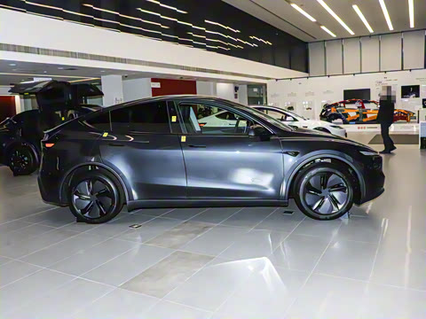 2025�� �������� �׷���