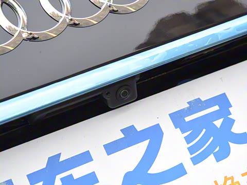 2025�� 45 TFSI quattro ��ѡ������+������