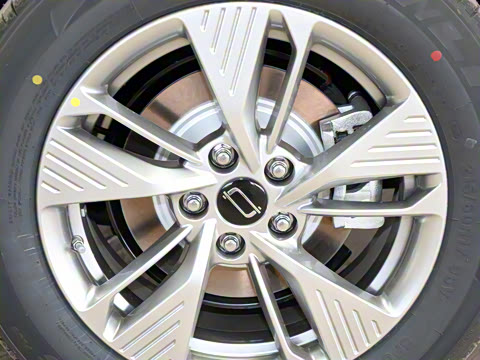 2025�� 565km ������