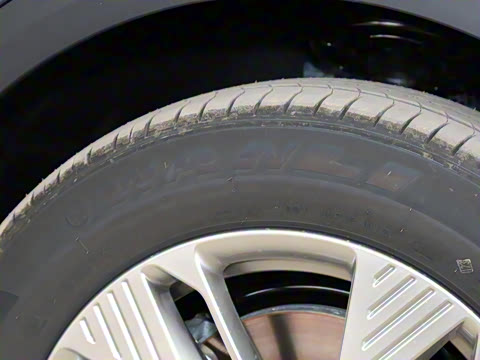 2025�� 565km ������