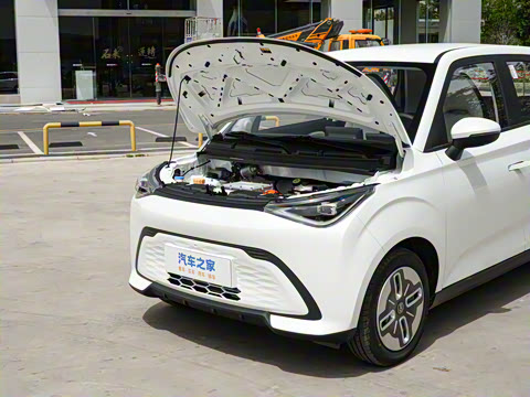 2025�� 305km ������