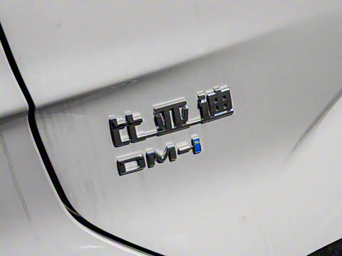 2025�� DM-i �Ǽݰ� 112KM ������