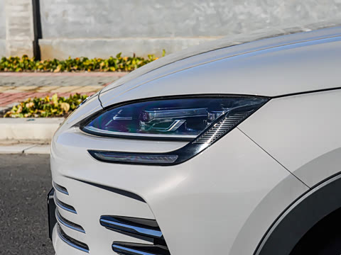 2025�� DM-i �Ǽݰ� 112KM ������