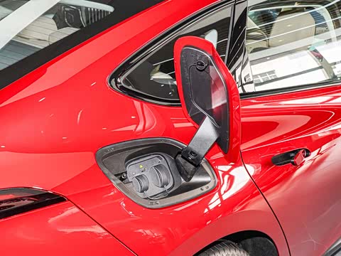 2025�� 550��ѡ��