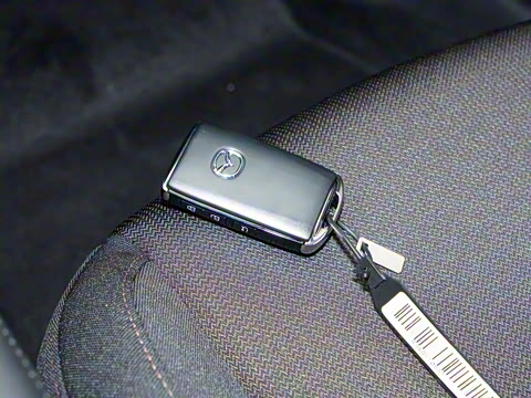 2025�� 2.0L �Զ������