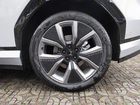 2025�� ����������Max