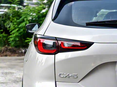 2025�� 2.0L �Զ���������Pro