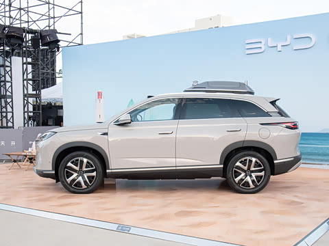 2025�� 135 �����ܼ����״��