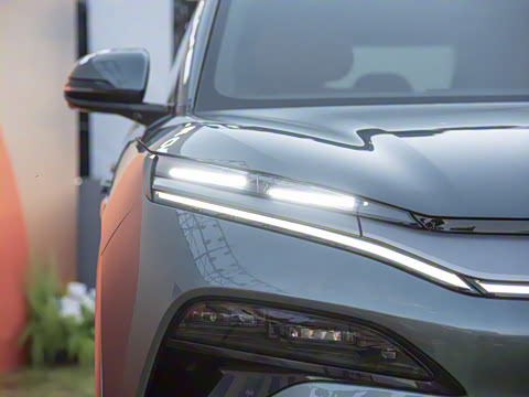 2025�� DM 175KM���˻���Ұ�