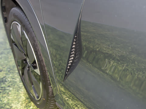 2025�� DM 175KM���˻���Ұ�