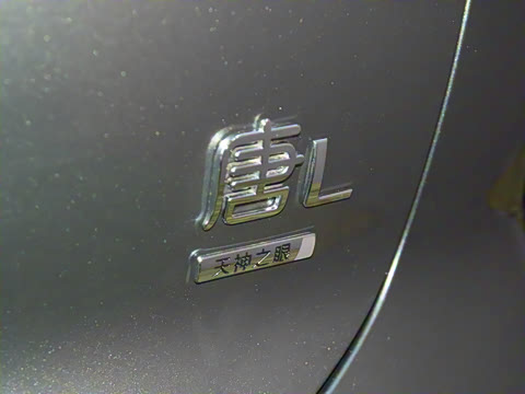 2025�� DM 175KM���˻���Ұ�