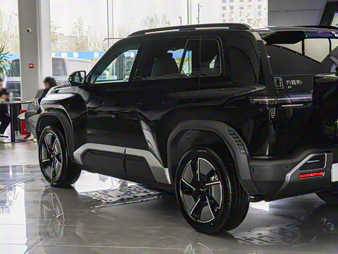 2025�� 501KM ����Max��