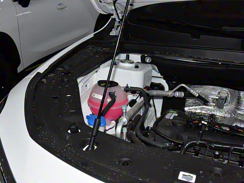 2025�� �ھ��� 1.5T �ֶ��ھ� 5��