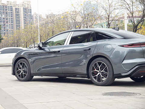 2025�� DM-p ���������״��콢��