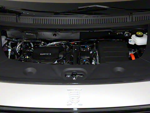 2025�� DM-i 1.5T 100km ��Խ��