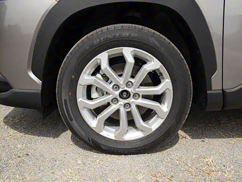 2024�� 2.0L CVT����plus��