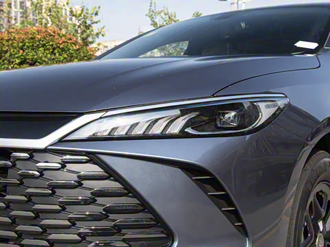 2025�� DM-i �Ǽݰ� 55KM������