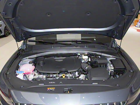 2025�� ������ 1.5TD �����