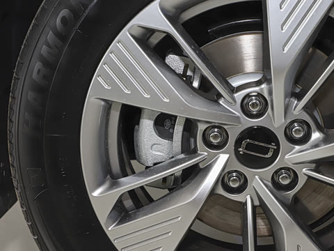 2025�� 565km ������