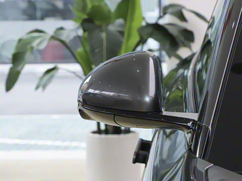 2025�� ����������������