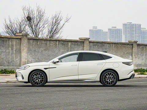 2025�� �Ǽݰ� DM-i 1.5L 125km ������