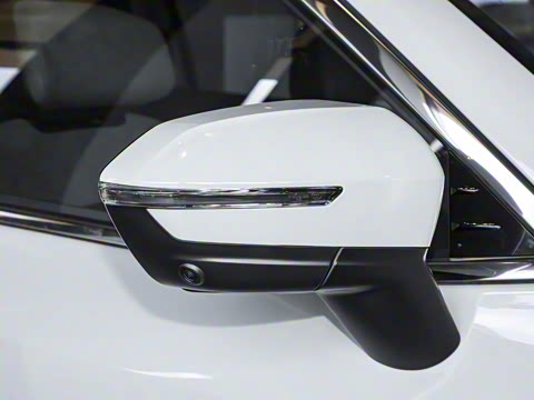 2025�� ������