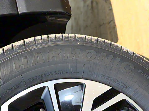 2025�� �ڶ��� �Ǽݰ� DM-i 75KM������