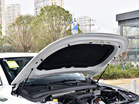 2025�� ��Խ��