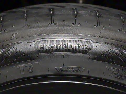 2025�� ����������