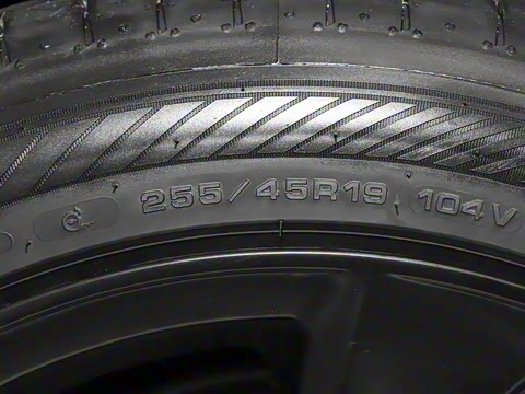 2025�� ����������