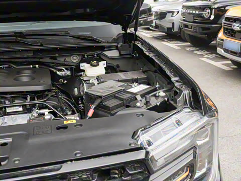 2025�� ɳ���ر�� ����