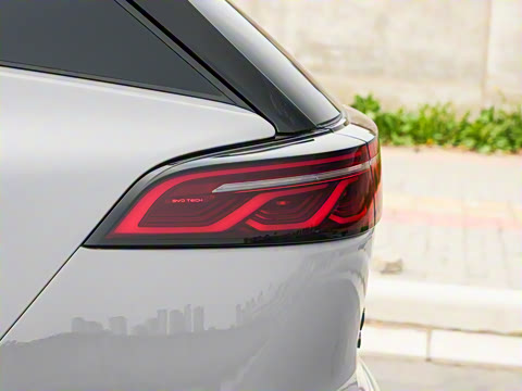 2025�� �Ǽݰ� DM-i 115KM �콢��