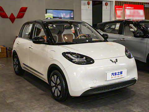 2025�� 333km ��Ϭ������