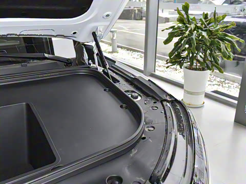 2025�� 636Max���Ȱ� 6��